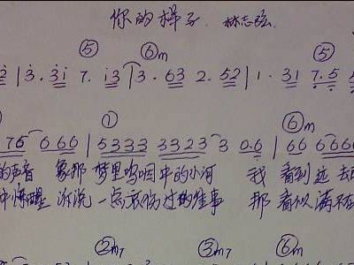林志弦 你的样子 歌谱 简谱