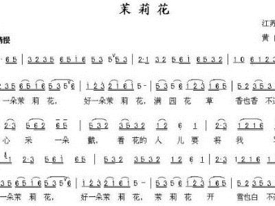 小小的新娘花电子琴曲谱_电子琴曲谱(3)