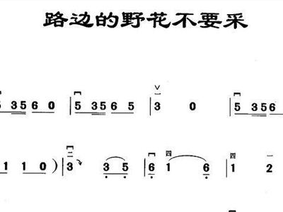 野花简谱_野花简谱田震(3)