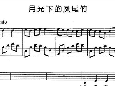 月光下的凤尾竹简谱教_月光下的凤尾竹简谱(2)