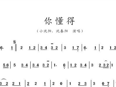 小沈阳情怨简谱_情怨小沈阳(3)
