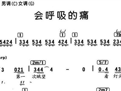 会呼吸的痛简谱_想念是会呼吸的痛简谱(3)