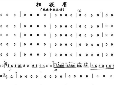 枉凝眉简谱歌谱_枉凝眉简谱(2)