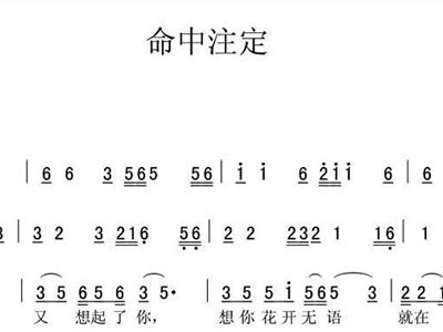 命中注定简谱_命中注定我爱你简谱(3)