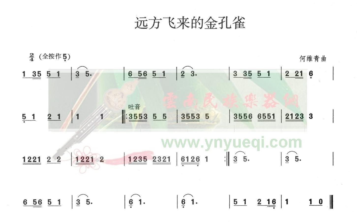 金孔雀曲谱_金孔雀(3)