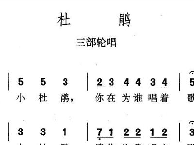 杜鹃的曲谱_杜鹃圆舞曲钢琴曲谱(5)