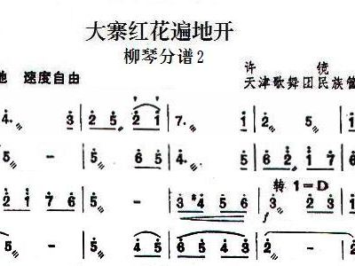 大寨简谱_大寨红花遍地开简谱(2)