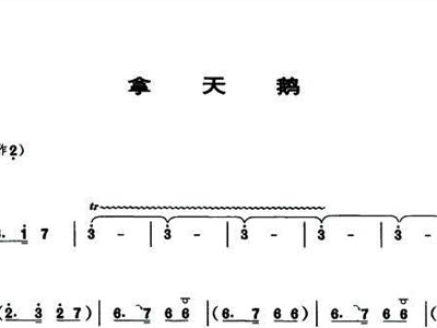 管子曲谱_胃镜管子图片(3)