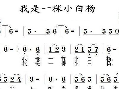 我是一棵小白杨