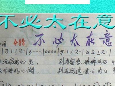 只是太在意简谱_太在意别人的看法配图(3)