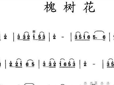 槐树花简谱_槐树花