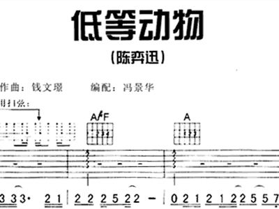 恒温动物简谱_中华鲟是恒温动物吗(3)