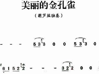 金孔雀曲谱_金孔雀(3)