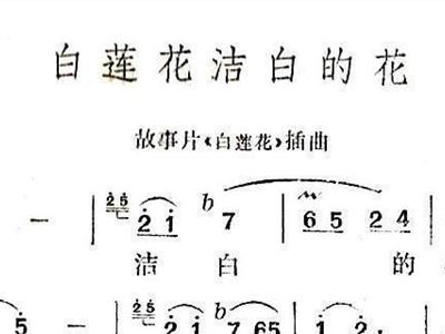 白莲花简谱_白莲花