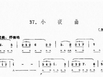 口琴 小夜曲 单簧管谱,电子琴谱,口琴谱,小号谱 简谱