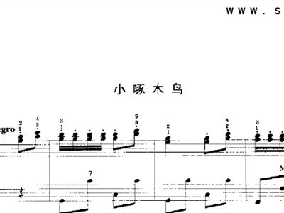 啄木鸟简谱(3)