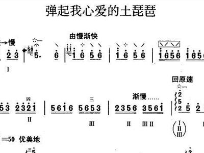 弹起我心爱的土琵琶二胡曲谱_弹起心爱的土琵琶曲谱(4)