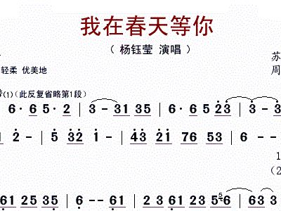 我在春天等你 杨钰莹 歌谱 简谱