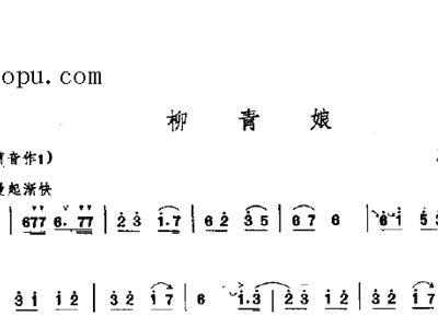 柳青娘唢呐曲谱_唢呐百鸟朝凤曲谱