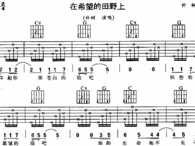 希望的田野简谱_在希望的田野上简谱(3)
