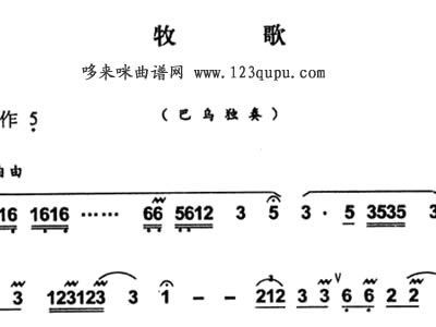 箫葫芦丝简谱(2)