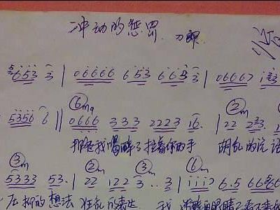 冲动的惩罚笛子曲谱_冲动的惩罚(2)