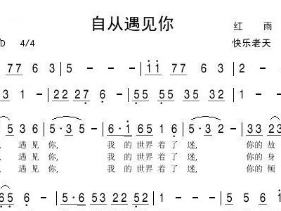当我遇见你简谱_当我遇见你乔洋简谱(3)