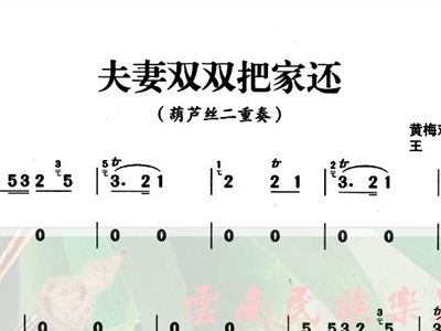 简谱夫妻双双把家还_夫妻吵架图片