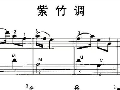 紫竹调歌曲简谱_紫竹调简谱(3)