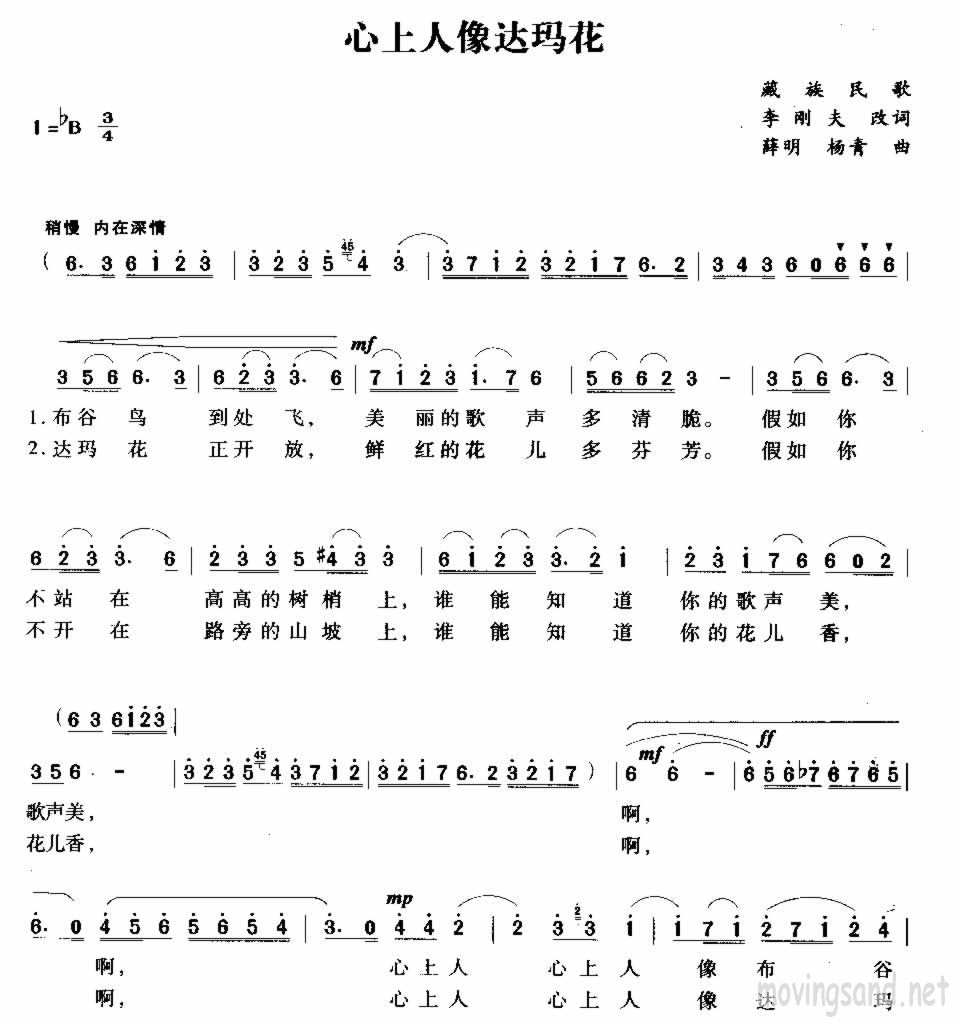 心上人像达玛花