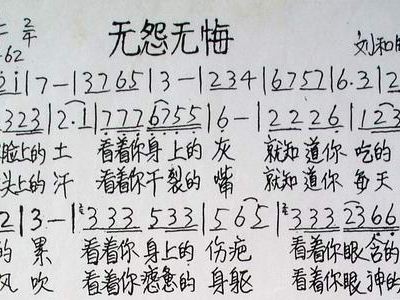 无怨无悔简谱_无怨无悔活一回简谱
