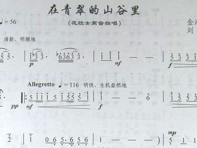 山谷里的向日葵简谱_山谷里的思念简谱(2)