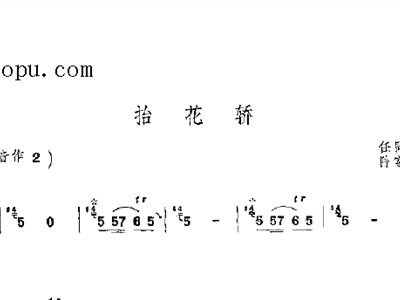 抬花轿喜庆的唢呐曲谱_抬花轿曲谱唢呐