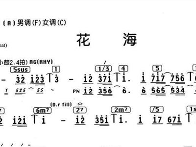 花海汉中简谱_汉中最美油菜花海图片