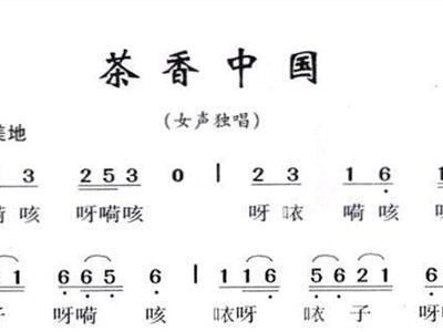 芦花雷佳中国曲谱网_芦花简谱雷佳(5)