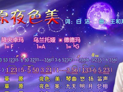 草原夜色美简谱德德玛_德德玛我从草原来简谱(2)