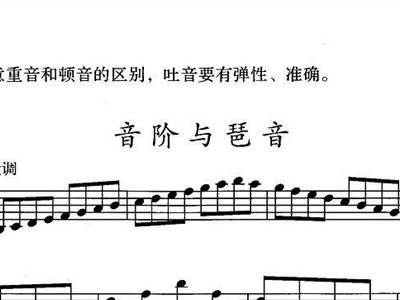 大调音阶简谱_c大调音阶简谱(3)