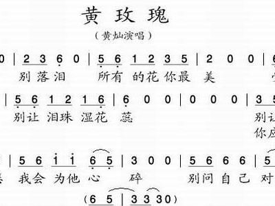 黄玫瑰的简谱_黄玫瑰简谱歌谱
