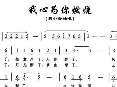 心烧简谱_送别简谱 歌曲串烧 二胡谱 枫林唱晚情个人制谱园地 中国曲谱网(3)