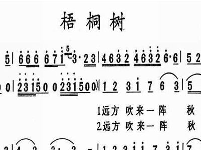 梧桐树简谱歌谱_梧桐树