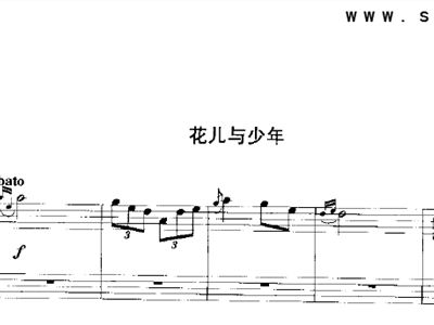 手风琴简谱花儿与少年_花儿与少年简谱