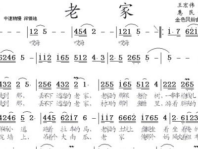 老家简谱_老家简谱闫学晶(3)