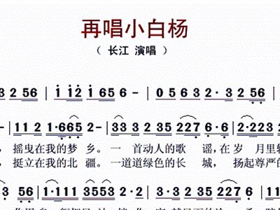 小白杨简谱笛子_小白杨简谱