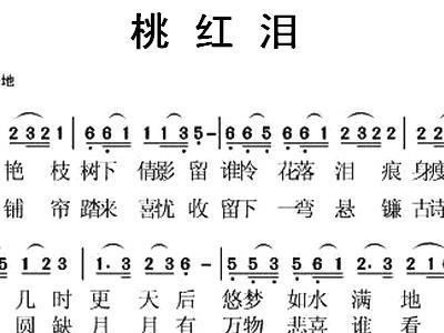 胡人泪曲谱_钢琴简单曲谱(2)