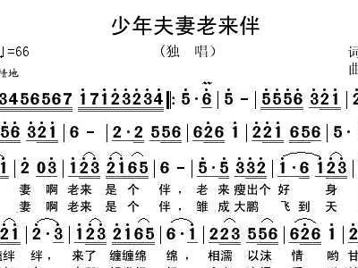 老来伴曲谱_钢琴简单曲谱