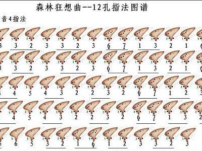 森林狂想曲谱示_森林狂想曲小提琴谱(3)