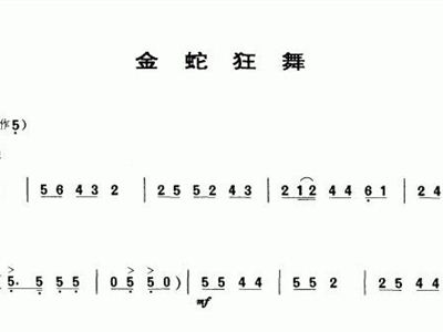 金蛇狂舞二胡曲谱显示_金蛇狂舞二胡曲谱(4)