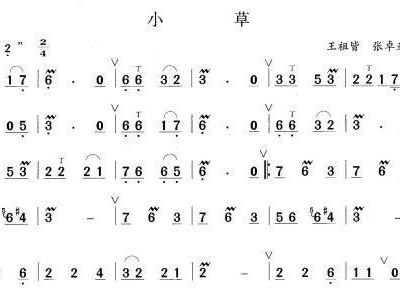 小草的电子琴曲谱_电子琴曲谱(2)