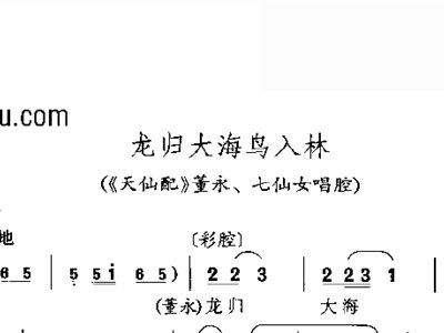 大海鸟简谱_星辰大海简谱