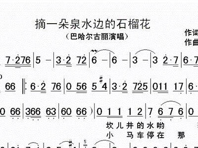 摘石榴简谱_石榴国画(2)